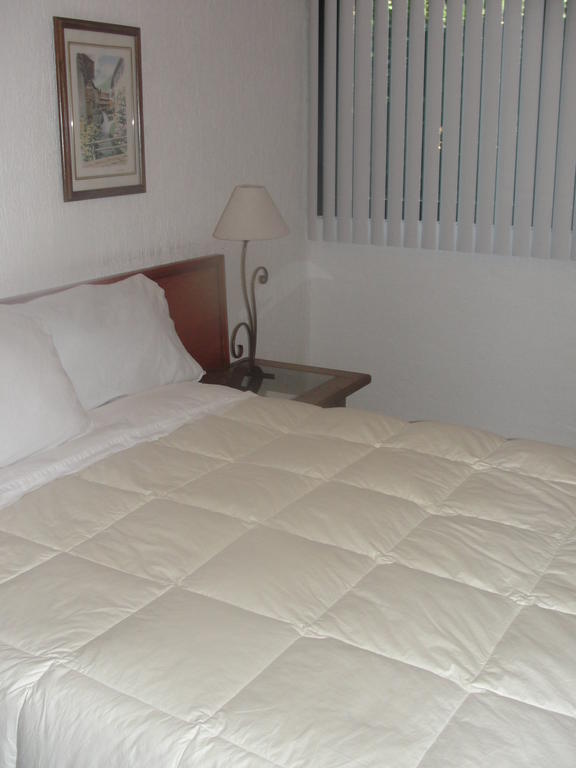 Steinhaus Suites Homero Mexico City Exterior photo